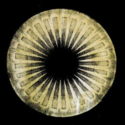 Pharaoh (9) Pharaoh USED VINYL 7INCH 33 S RPM LIMITED EDITION
