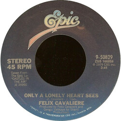 Felix Cavaliere Only A Lonely Heart Sees USED VINYL 7INCH 45 RPM