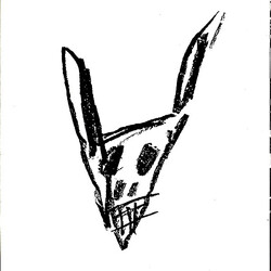 The Bunny Brains New Mucus Seminar Ltd. 7" Hard Disk USED VINYL 7INCH