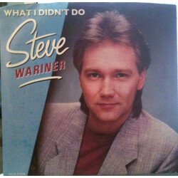 Steve Wariner What I Didn't Do USED VINYL 7INCH 45 RPM
