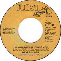 Dave And Sugar I'm Knee Deep In Loving You USED VINYL 7INCH 45 RPM PROMO STEREO MONO