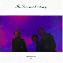 The Dream Academy Life In A Northern Town USED VINYL 7INCH 45 RPM SINGLE