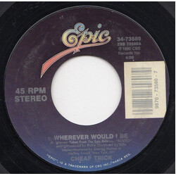 Cheap Trick Wherever Would I Be USED VINYL 7INCH 45 RPM SINGLE STYRENE