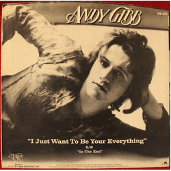 Andy Gibb I Just Want To Be Your Everything USED VINYL 7INCH 45 RPM SINGLE STYRENE