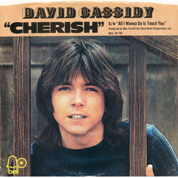 David Cassidy Cherish / All I Wanna Do Is Touch You USED VINYL 7INCH 45 RPM SINGLE STYRENE