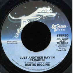 Bertie Higgins Just Another Day In Paradise USED VINYL 7INCH 45 RPM SINGLE STYRENE
