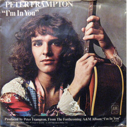 Peter Frampton I'm In You USED VINYL 7INCH 45 RPM SINGLE STYRENE STEREO