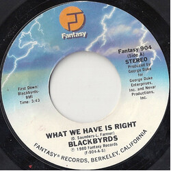 The Blackbyrds What We Have Is Right USED VINYL 7INCH 45 RPM STYRENE STEREO