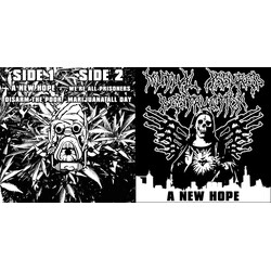 Mutual Assured Destruction A New Hope USED VINYL 7INCH EP