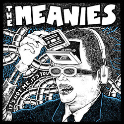 The Meanies It's Not Me, It's You Vinyl LP USED