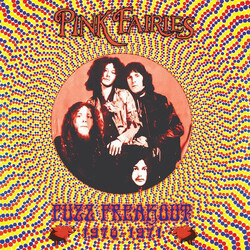 The Pink Fairies Fuzz Freakout 1970-1971 Multi Vinyl LP/CD USED