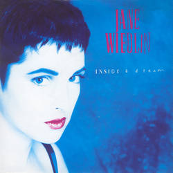 Jane Wiedlin Inside A Dream Vinyl 7" USED