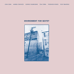 John Zorn / Andrea Centazzo / Eugene Chadbourne / Tom Cora / Toshinori Kondo / Polly Bradfield Environment For Sextet Vinyl LP USED