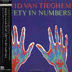 David Van Tieghem Safety In Numbers Vinyl LP USED