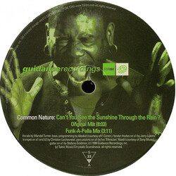 Common Nature Can't You See The Sunshine Through The Rain ? VINYL 12" USED