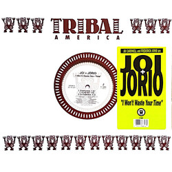 Joi + Jorio I Won't Waste Your Time USED VINYL 12INCH 33 S RPM