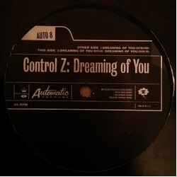 Control Z Dreaming Of You USED VINYL 12INCH 45 RPM
