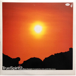 Various True Spirit 2 (Album Sampler) USED VINYL 12INCH 33 S RPM SAMPLER