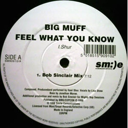 Big Muff Feel What You Know USED VINYL 12INCH 33 S RPM