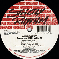Androgeny / Michael M I Could Be This... USED VINYL 12INCH 33 S RPM
