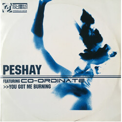 Peshay / Co-Ordinate You Got Me Burning / Fuzion USED VINYL 12INCH 33 S RPM