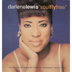 Darlene Lewis Soul Fly Free USED VINYL 12INCH 33 S RPM