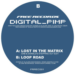 Digital Pimp (2) Lost In The Matrix / Loop Road USED VINYL 12INCH