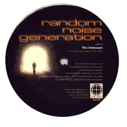 Random Noise Generation The Unknown USED VINYL 12INCH