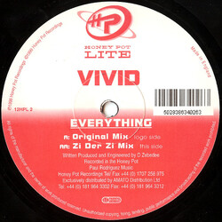 Vivid Everything USED VINYL 12INCH