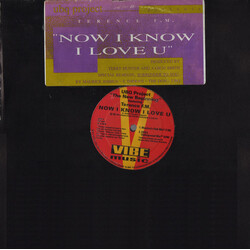 UBQ Project / Terence FM Now I Know I Love U USED VINYL 12INCH 33 S RPM