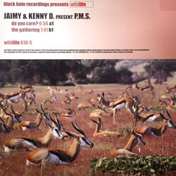 Jaimy & Kenny D. / P.M.S. Do You Care? / The Gathering USED VINYL 12INCH
