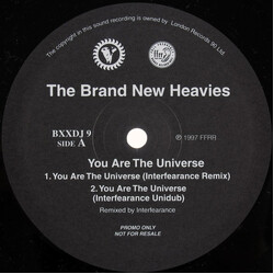 The Brand New Heavies You Are The Universe USED VINYL 12INCH PROMO