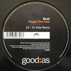 Bush (2) Forget The Past USED VINYL 12INCH
