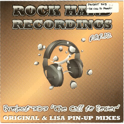 Project 303 The Call To Power USED VINYL 12INCH