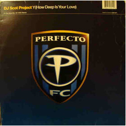DJ Scot Project Y (How Deep Is Your Love) USED VINYL 12INCH 33 S RPM