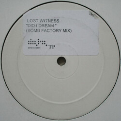 Lost Witness Did I Dream USED VINYL 12INCH SINGLE SIDED WHITE LABEL TEST PRESSING