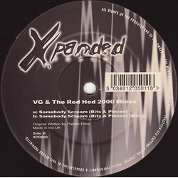 Vinylgroover & The Red Hed Somebody Scream (2000 Mixes) USED VINYL 12INCH 33 S RPM