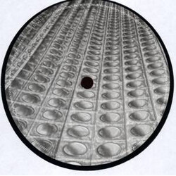 Audiovoid Separate Spaces EP USED VINYL 12INCH 33 S RPM EP