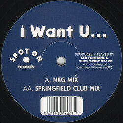 Itchy & Scratchy I Want U... USED VINYL 12INCH 33 S RPM