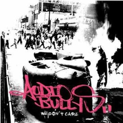 Audio Bullys We Don't Care USED VINYL 12INCH 45 RPM SINGLE