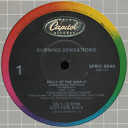 Burning Sensations Belly Of The Whale USED VINYL 12INCH 33 S RPM PROMO