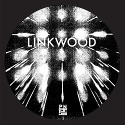 Linkwood From The Vaults Pt 1 USED VINYL 12INCH 45 RPM 33 S RPM