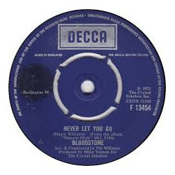 Bloodstone Never Let You Go USED VINYL 7INCH