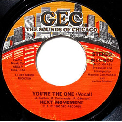 The Next Movement You're The One USED VINYL 7INCH 45 RPM STYRENE STEREO