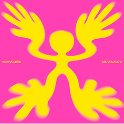 Q Words / Needle (2) / F*O*X NON VOLEVO MA VOLAVO 2 USED VINYL 12INCH 33 S RPM COMPILATION REISSUE STEREO
