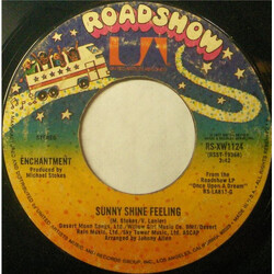 Enchantment Sunny Shine Feeling / It's You That I Need USED VINYL 7INCH 45 RPM STYRENE STEREO