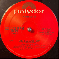 The Waitresses Bruiseology / Make The Weather USED VINYL 12INCH 33 S RPM PROMO