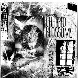 Cyrnai Charred Blossoms Vinyl LP USED