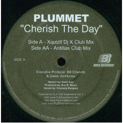 Plummet Cherish The Day USED VINYL 12INCH 45 RPM PROMO