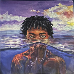 Redveil Learn 2 Swim Vinyl LP USED
